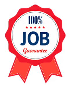 100% Job guarantee from Godigital Academy